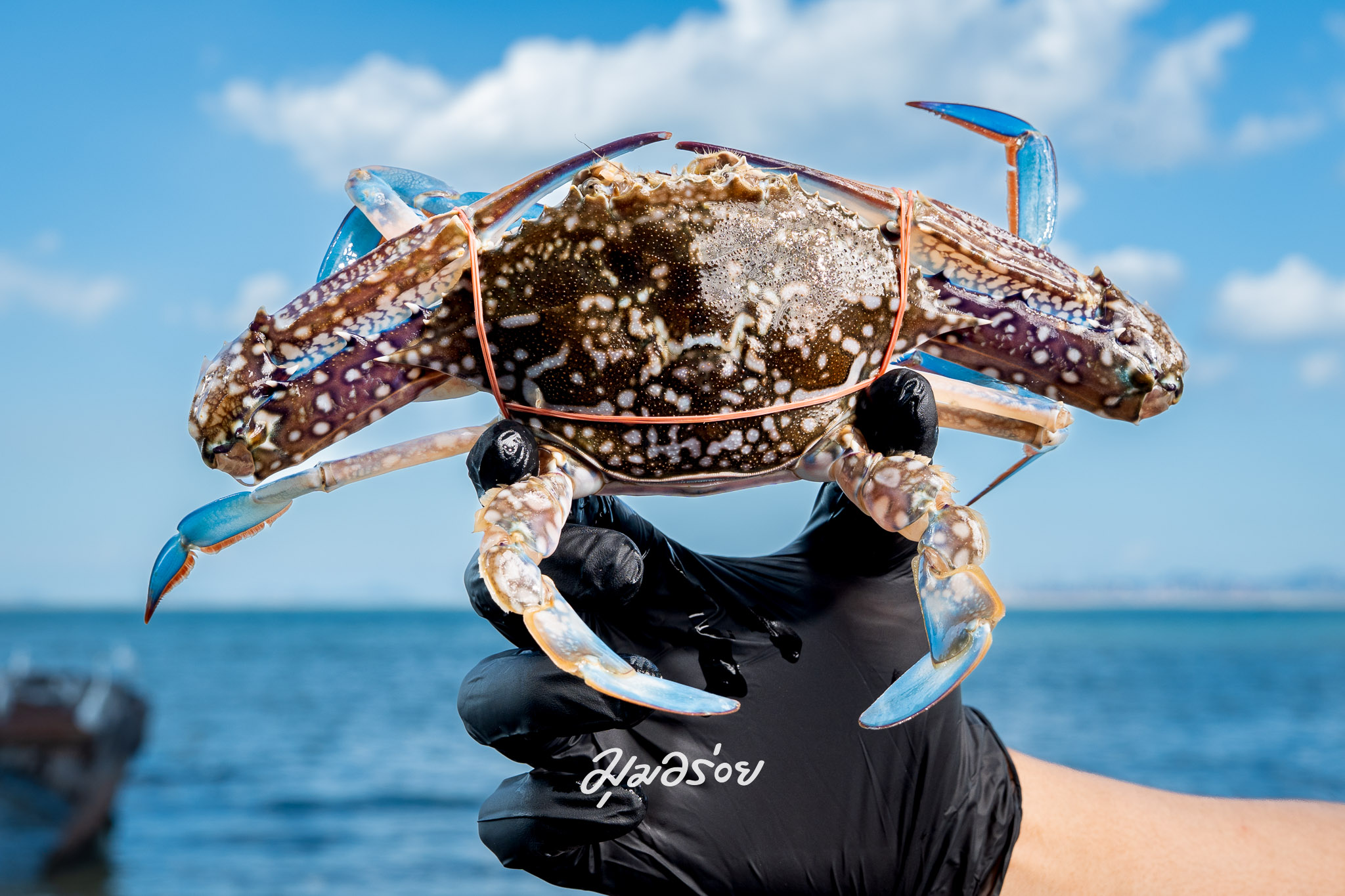 ร้าน มุมอร่อย